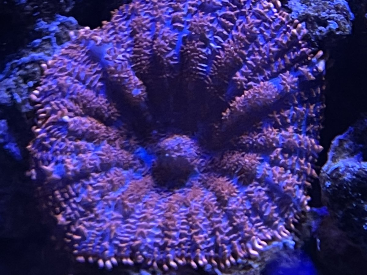 0587CF23-9308-4326-8470-4B761E1E22B6.jpeg
