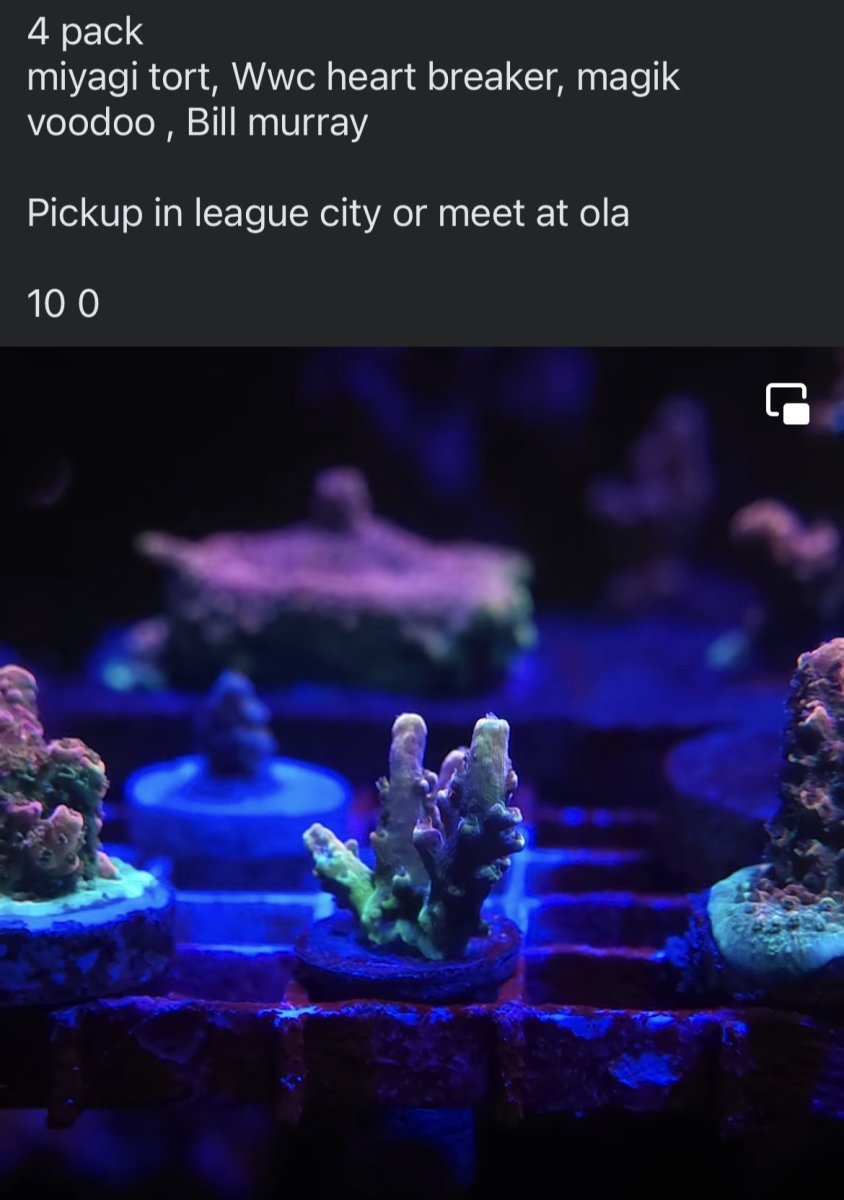 05BD102E-5265-4512-B87E-4DCA3CFFAD9B.jpeg
