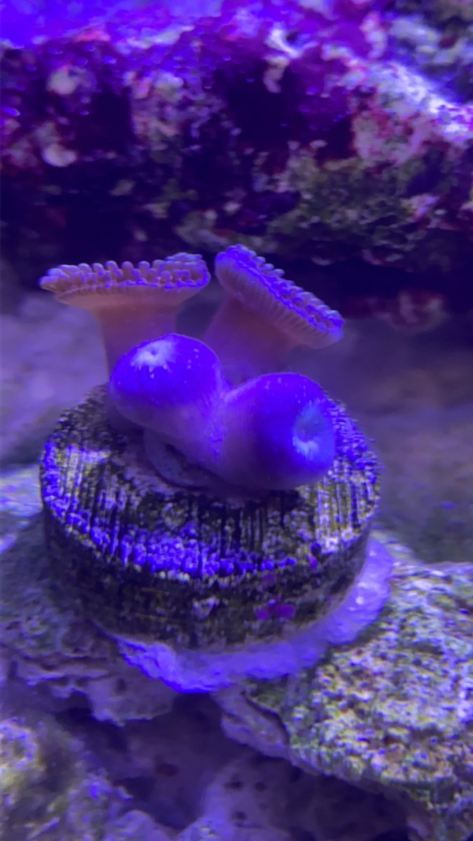 060F0AB3-8EC4-436E-9FF5-37520F2B9F4E.jpeg