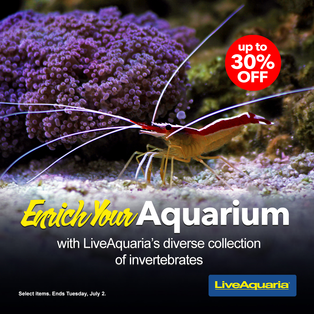 LiveAquaria® inverts are up to 30 off!!! REEF2REEF Saltwater and