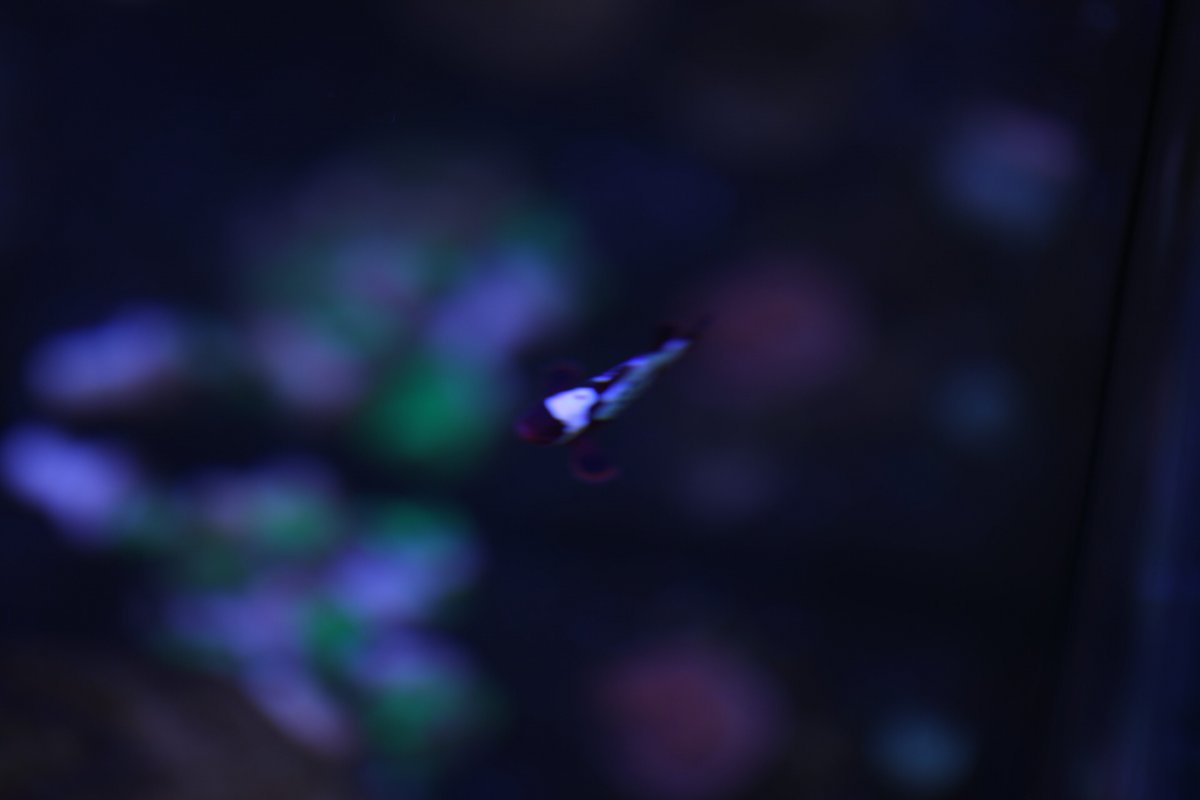 068537A8-E671-4B6F-AE33-E8BEBB3D4C7C.jpeg