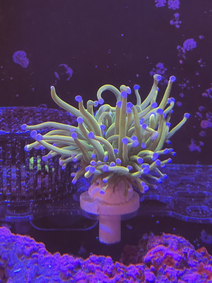 06B24D56-6E29-4753-AEDE-28F5A0C95CC2.jpeg