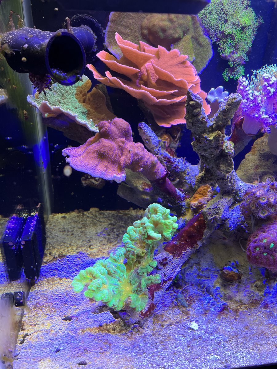 06B92302-AC1B-4C99-A4E5-D6A3545E14F1.jpeg