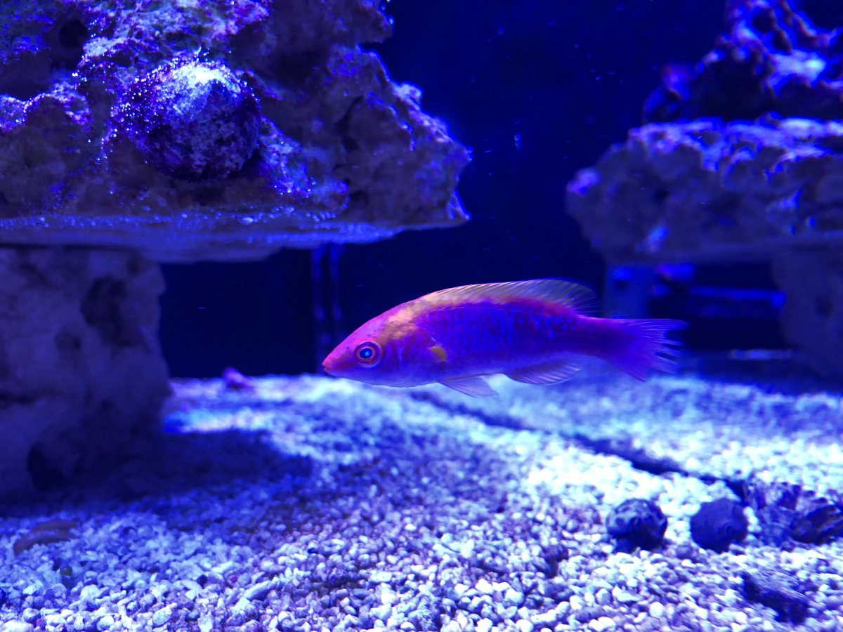 06CB8734-E642-4FA1-B56B-60D3AE5A0E59.jpeg