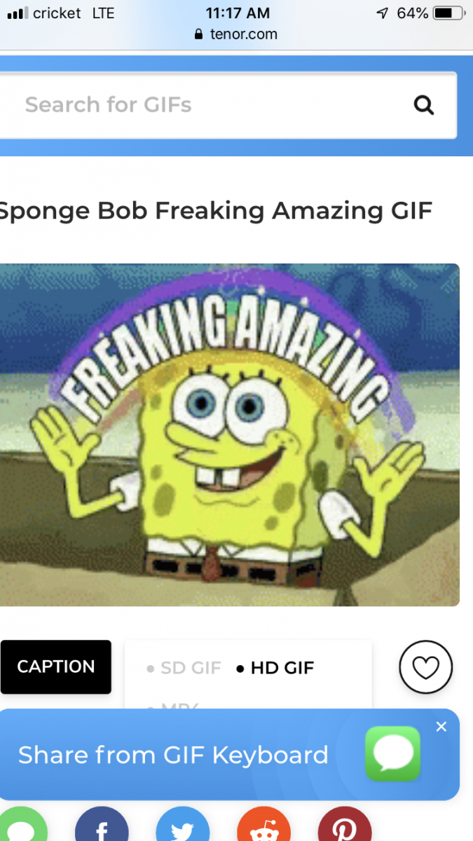 06D16B4A-88F2-497B-9FD3-E69E27D3E3F9.png