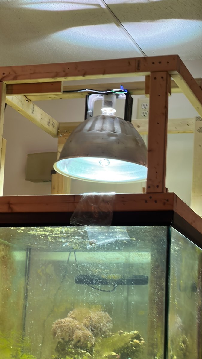 Cheapest Metal Halide Set up? | Reef2Reef