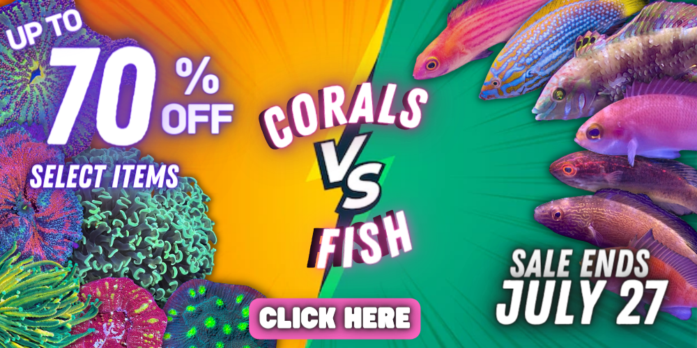07.21.2022 Coral vs. Fishes 2x1.png