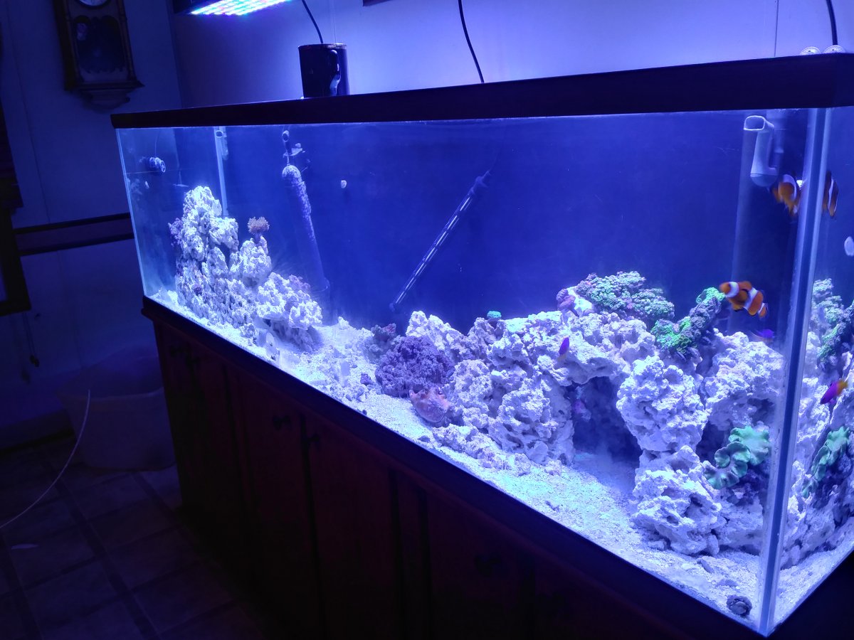 0705181906_HDR.jpg