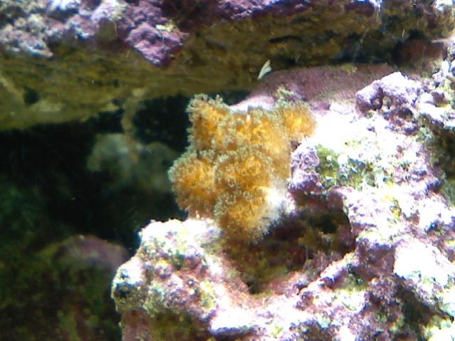 0708091603-01.jpg