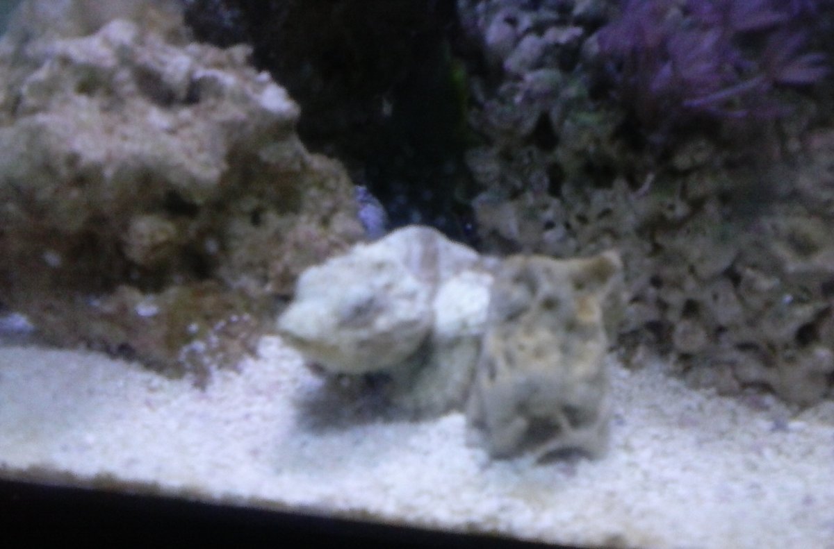 0709151726.jpg