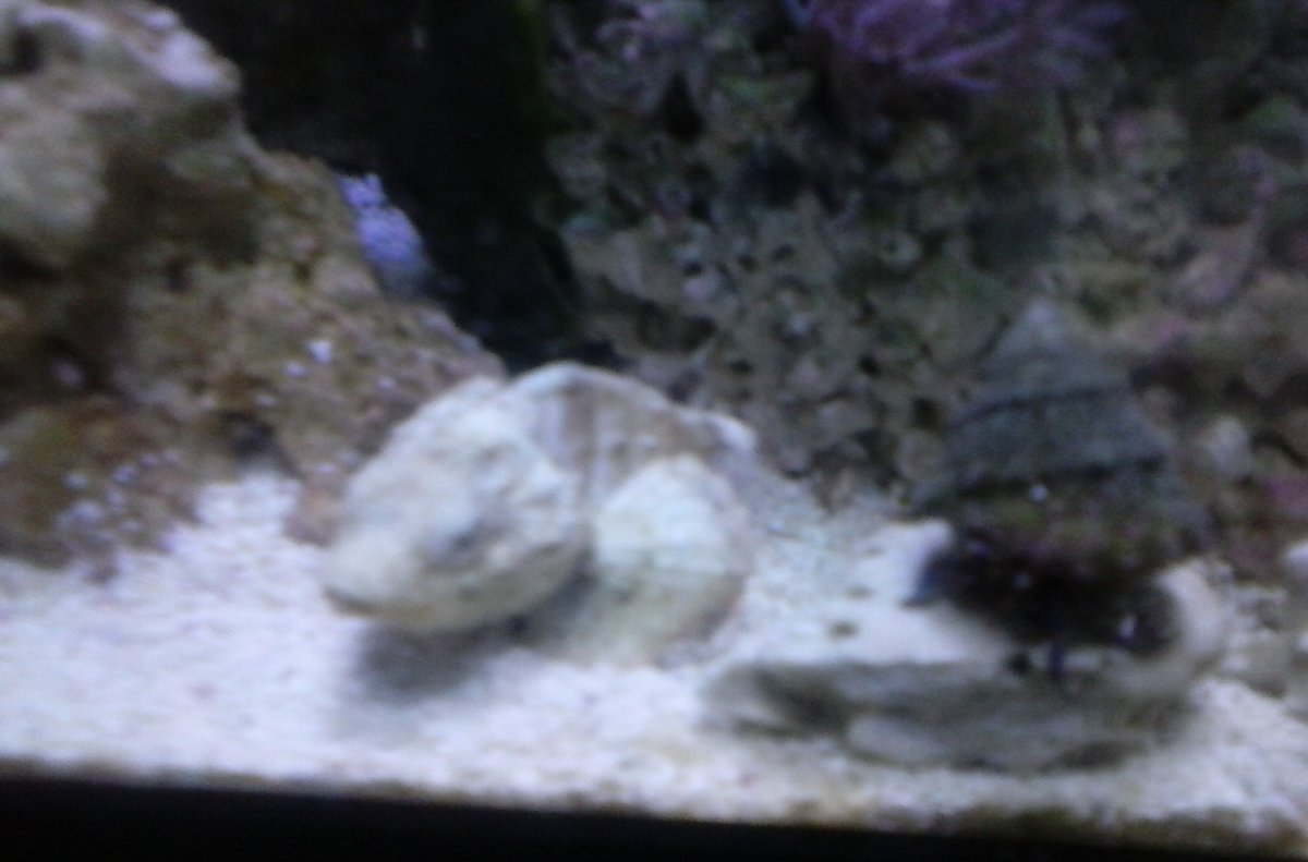 0709151727e.jpg