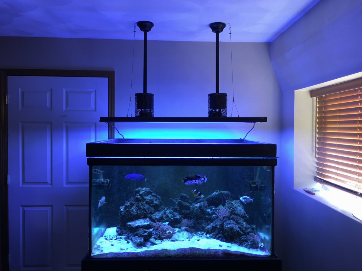 Aquaticlife T5 Hybrid Light Fixture: The Definitive Review, 57% OFF