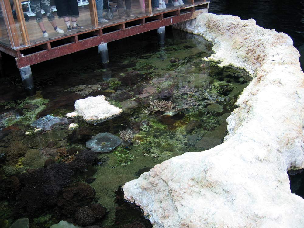 080709-lagon2.jpg