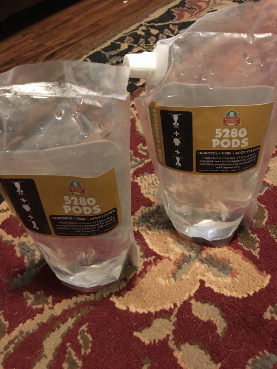 080BE5F3-BA00-4A99-9CA0-441D3B362CA2.jpeg