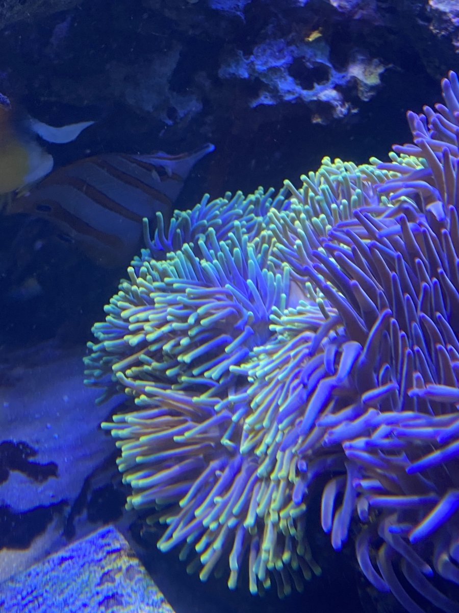 0810D006-4701-4B8F-8BBD-CEC16CA15D7B.jpeg