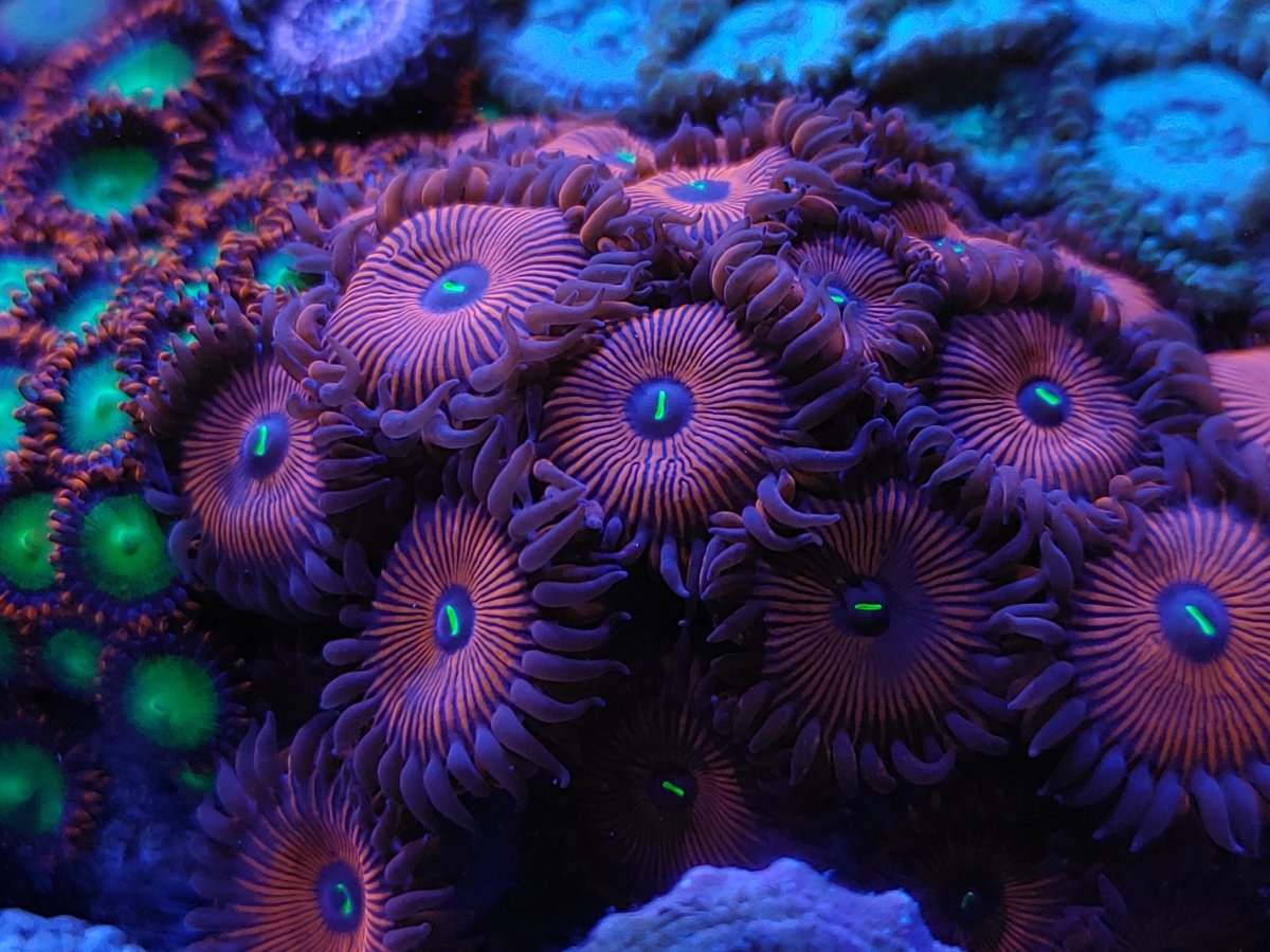0823221943b.jpg