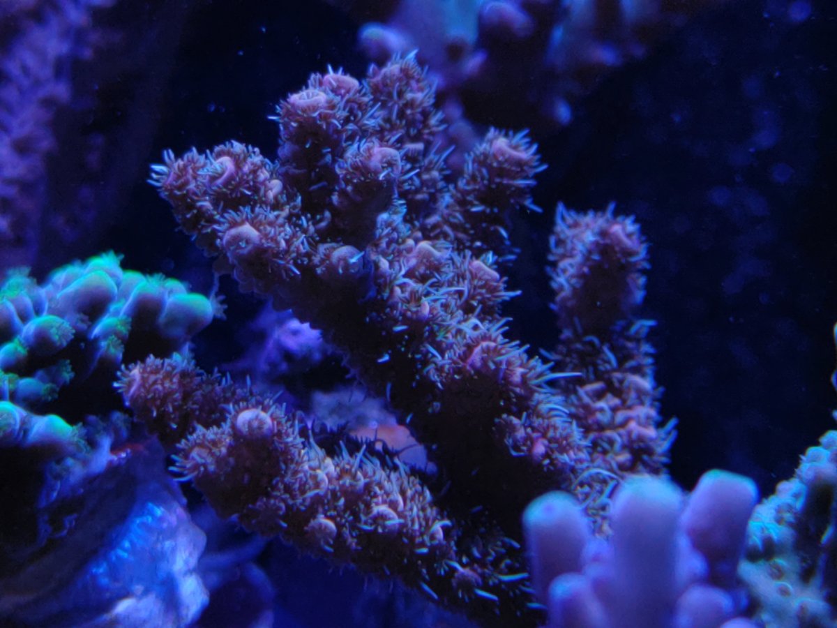 0823221944e.jpg