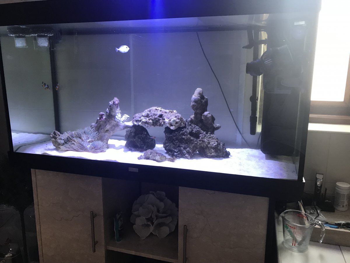 082A8D61-E87E-4C88-BEDC-C1B5D846E968.jpeg