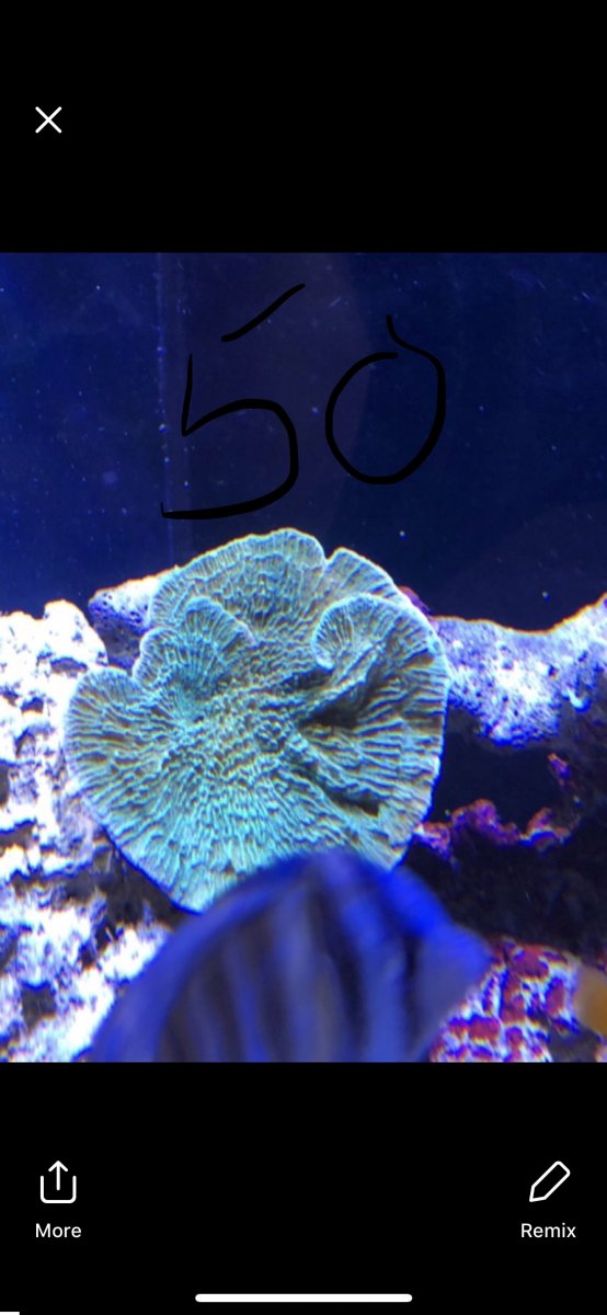 08393036-6F12-4BBF-871C-6544E31D0CC5.jpeg