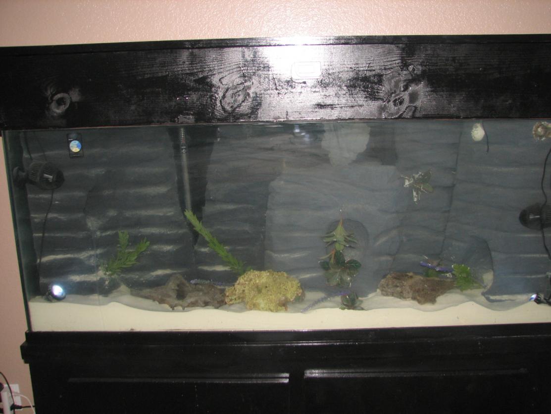 85 Gallons Fish Tanks And Aquariums 