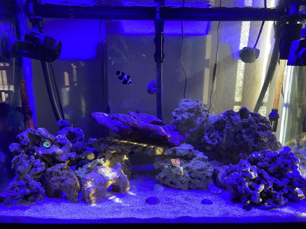 0898E206-C545-4E7B-AB4C-C7483EF768C8.jpeg
