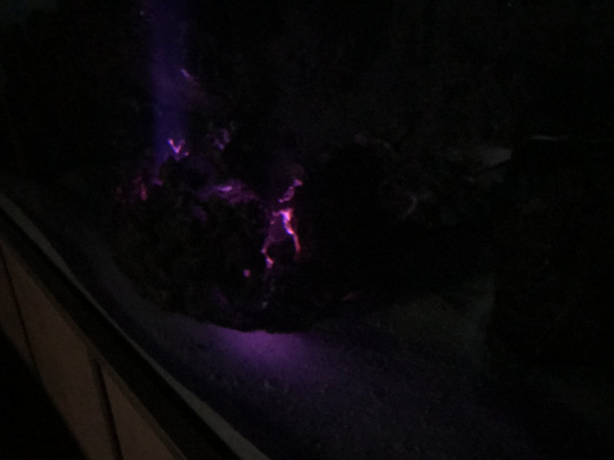 0899DF54-9CFE-4D7A-92C9-43229B0FC608.jpeg