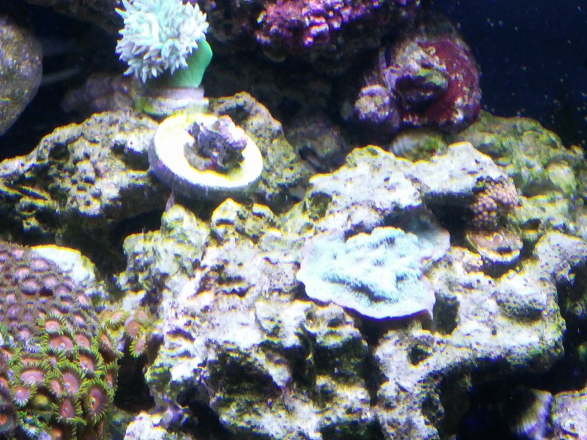 0904161059.jpg