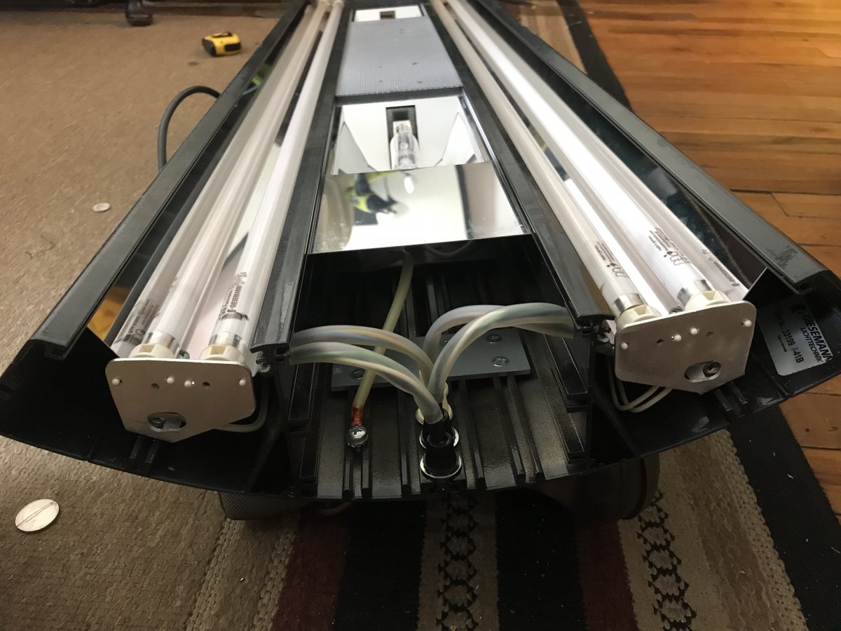 New York - 4 Foot Giesemann Infiniti T5&MH hybrid $450 | Reef2Reef