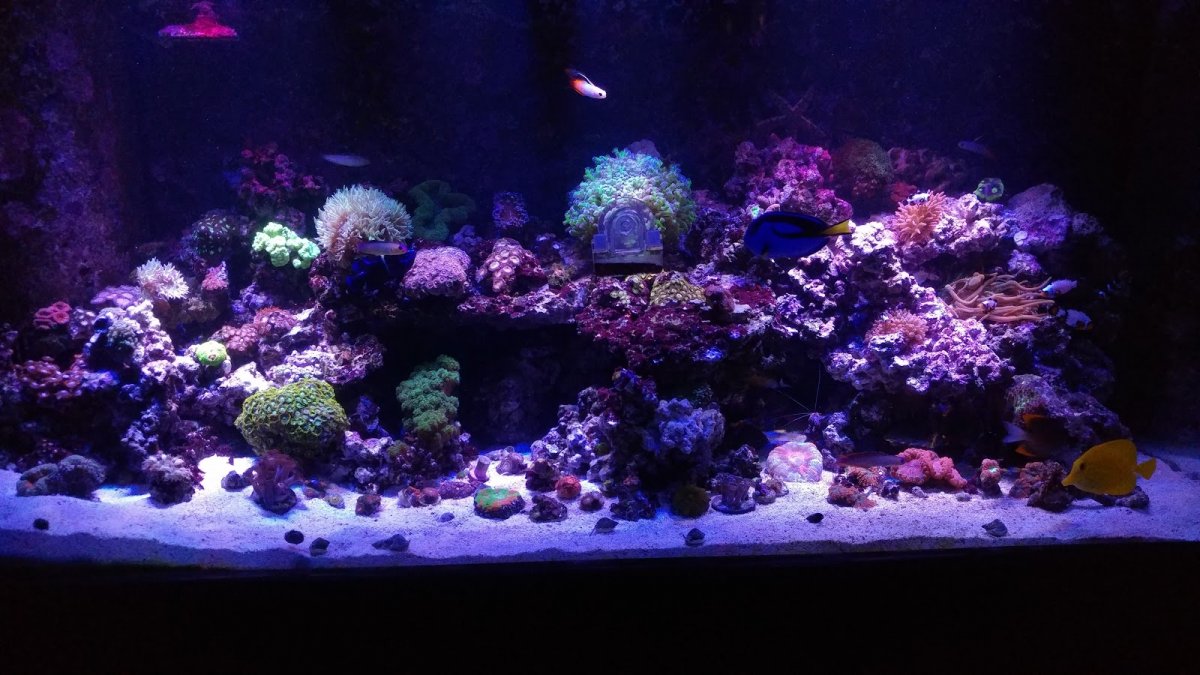 0923171137.jpg
