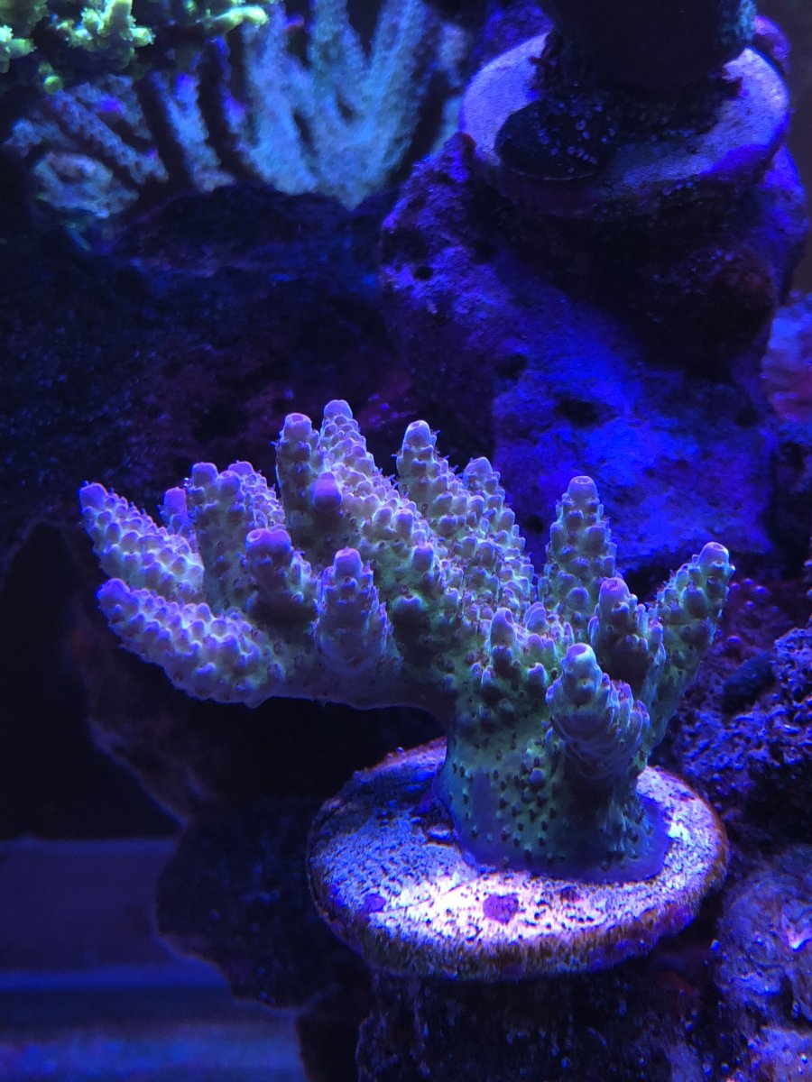 0937AC53-BBD7-46B2-A4E3-1B0DE4C1E5A6.jpeg