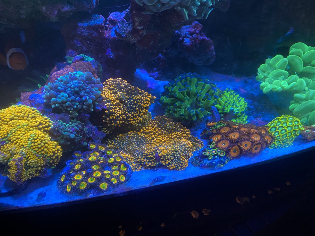 0A0B0B65-842E-4541-B42E-4E51A1A6390F.jpeg