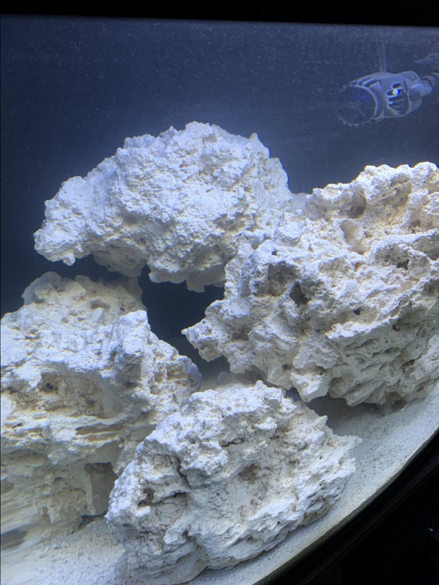 NEW 32g biocube Media rack ADVICE NEEDED | REEF2REEF Saltwater and Reef ...