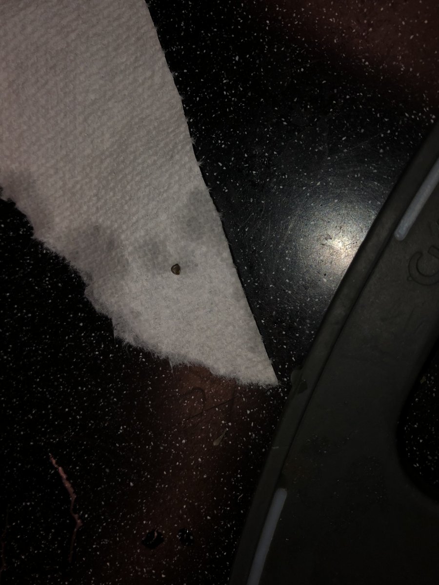 0A8C20D4-4F57-4B78-B3EC-0C04F29D5D70.jpeg