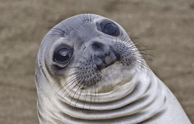 0A9866EA-BBB1-4E7C-AF04-E000A8F9A292.gif