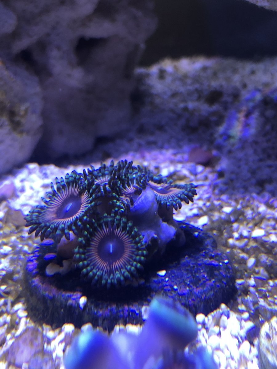 0B133643-CCDE-447D-ABC0-3EF3559AA668.jpeg