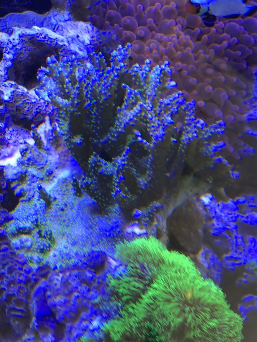 0BA63811-29EA-4D94-ABA6-2C2ADBBDE0A3.jpeg