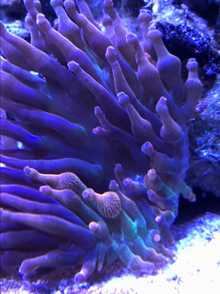 0BE49267-3D42-4476-8518-EB20FDBBBDE0.jpeg
