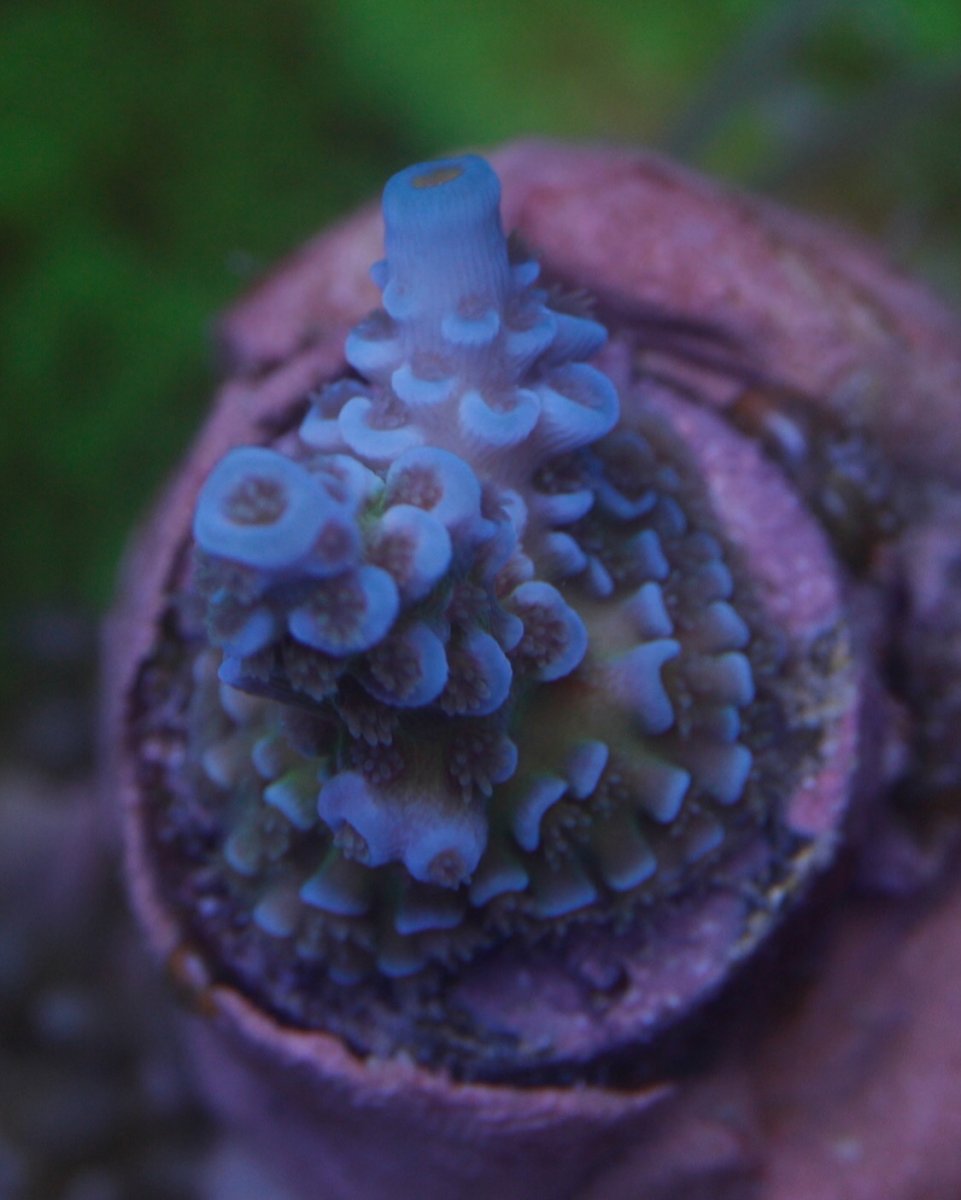 0C023943-8932-4695-AB6D-E3CE89B842F8.jpeg
