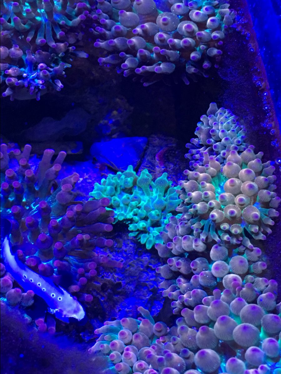 0CB12159-33E6-486C-8D2E-29DC97466E9D.jpeg