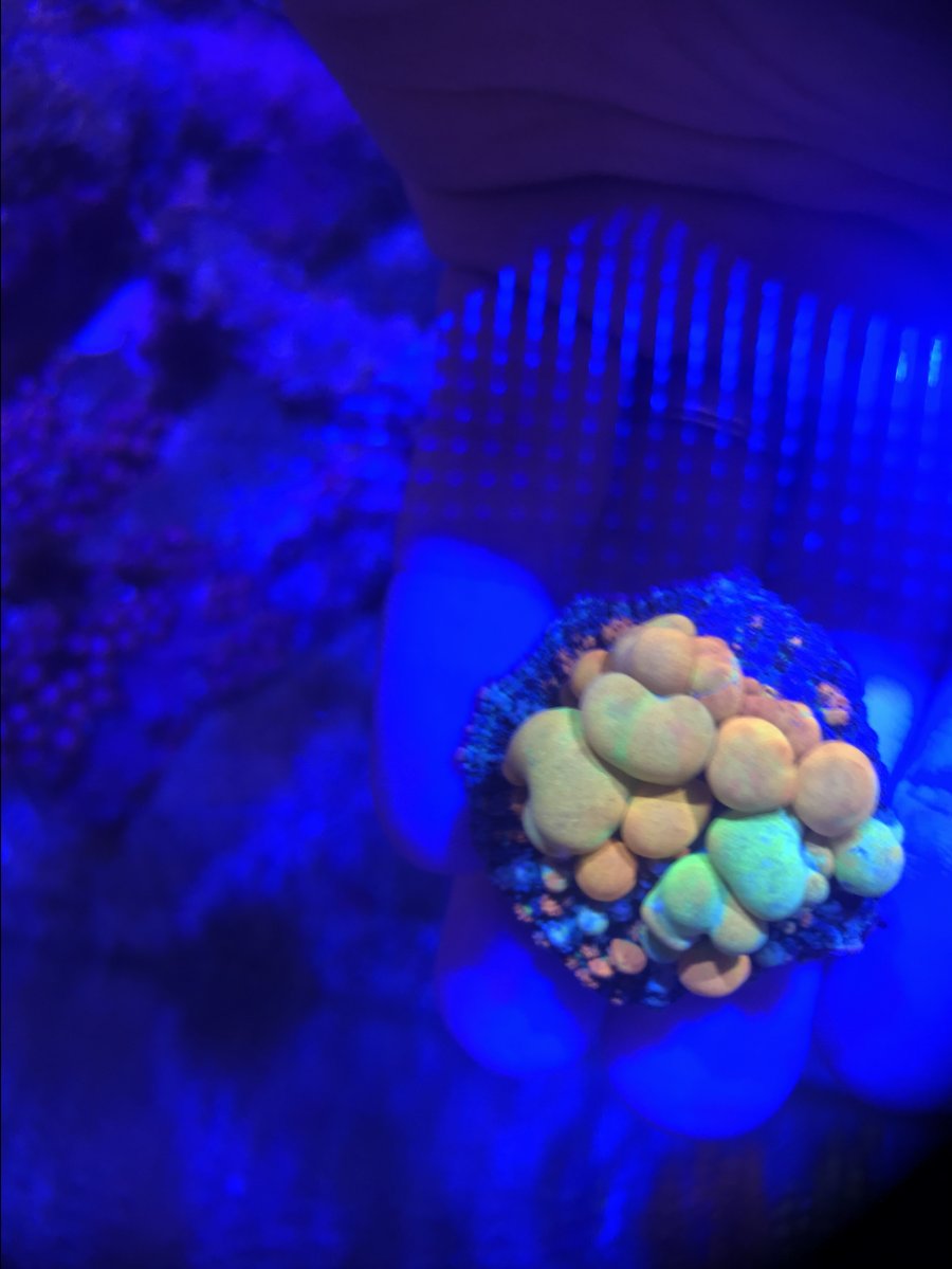 0CEC2EB8-E8C7-4D91-A291-4F1738D5E5E2.jpeg