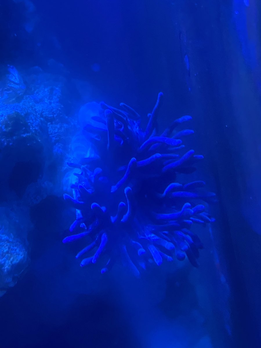 0CF231C1-61D6-4428-8113-E5B9423D251A.jpeg