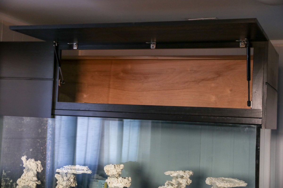 Build Thread - Lost in a Reef’s 200+ gal budget build! | Page 5 | Reef2Reef