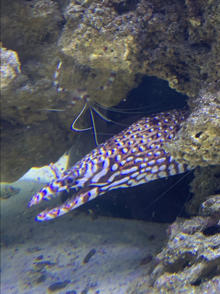 0DCBAA3D-B06C-437F-BDD5-8BB80CAE458F.jpeg
