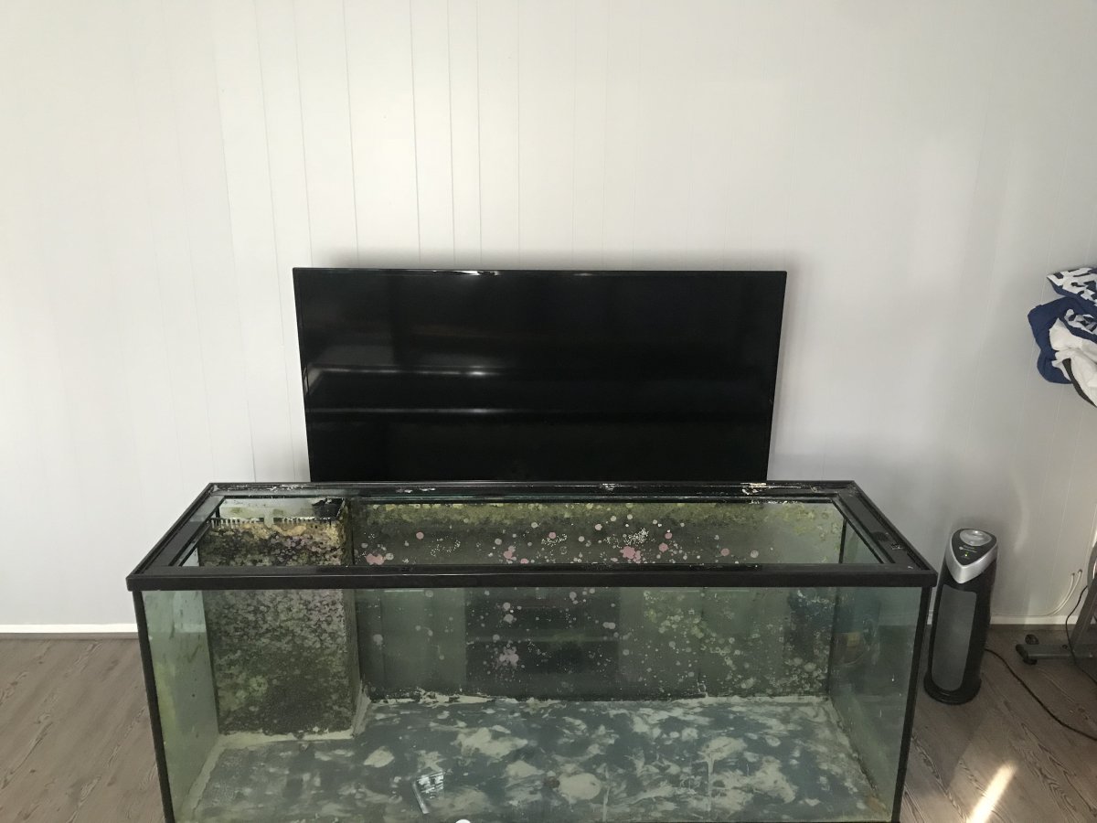 Build Thread - Lost in a Reef’s 200+ gal budget build! | Reef2Reef
