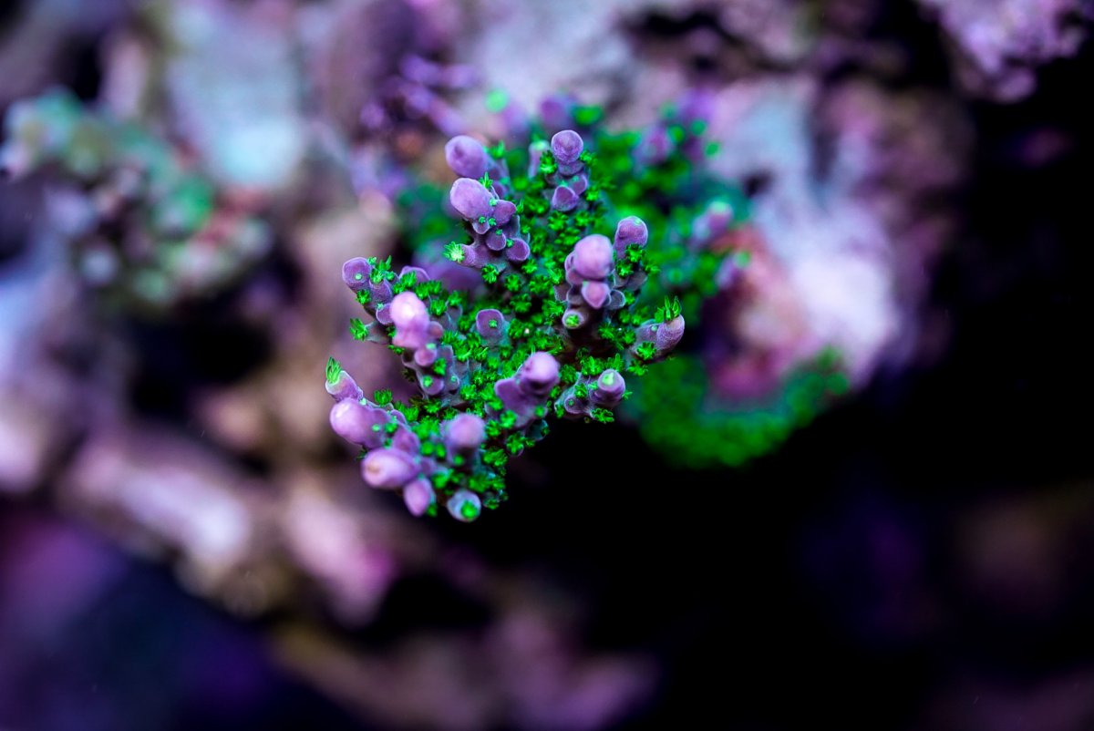 0E4E1D53-651A-44C7-91DC-7221DCC2E63E.jpeg