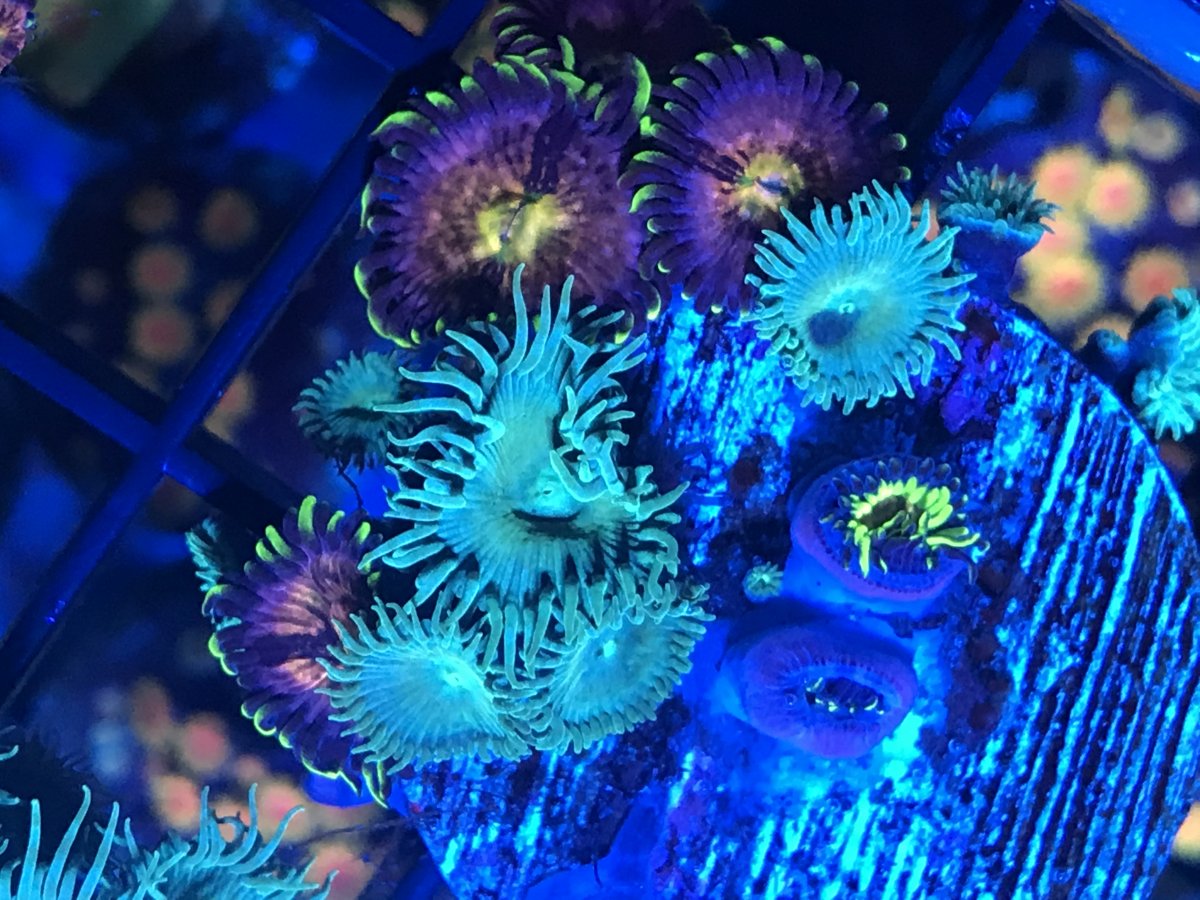 0E6894CC-5075-4E83-B5F9-229A7337866A.jpeg