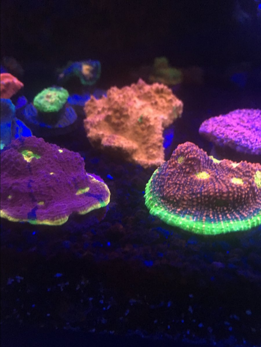 0EB49651-B5C4-4052-A46E-C7B4ED7AEE3E.jpeg