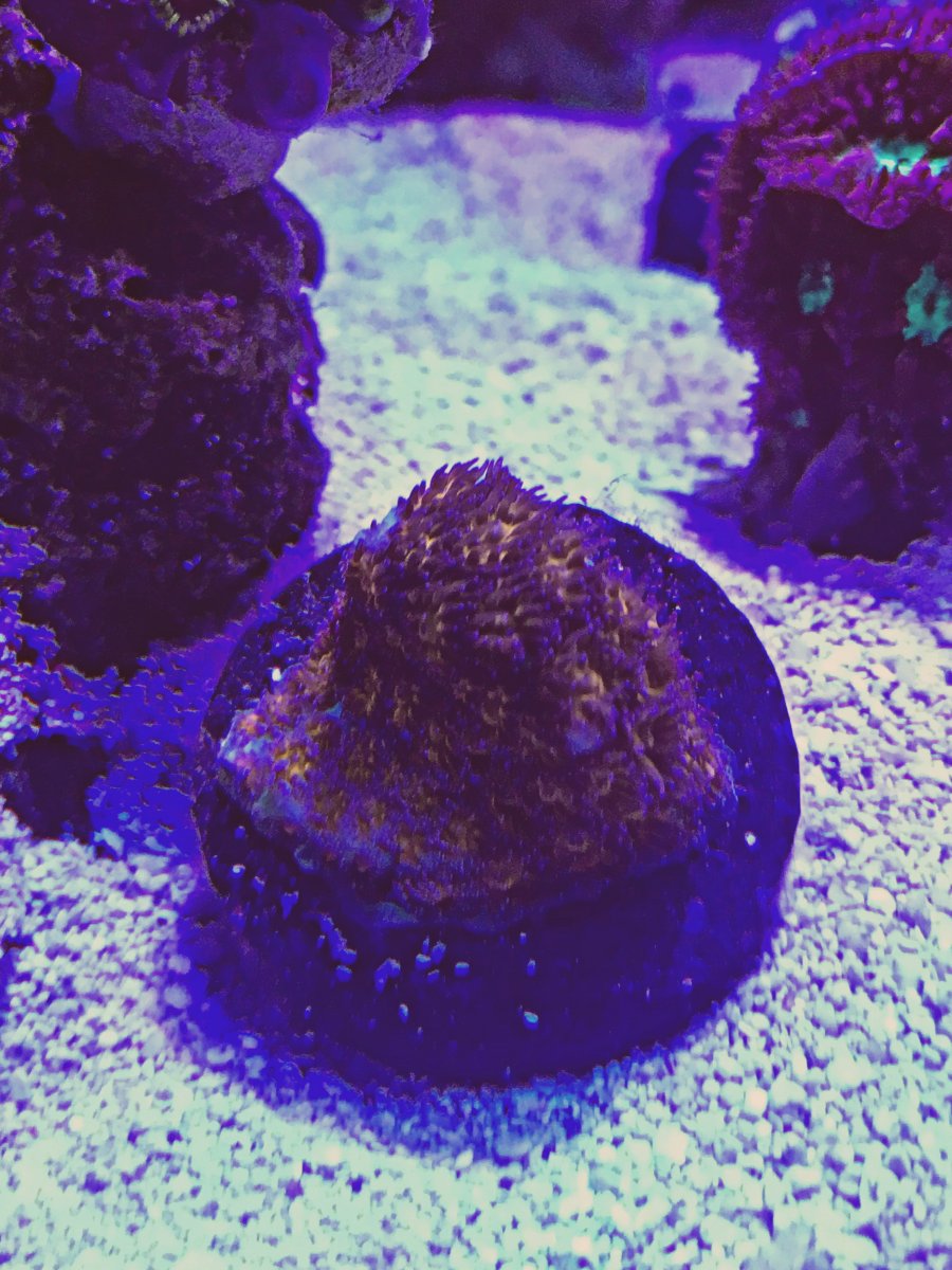 0EE55155-AE1E-4DBD-8BB8-E7085CACEC77.jpeg