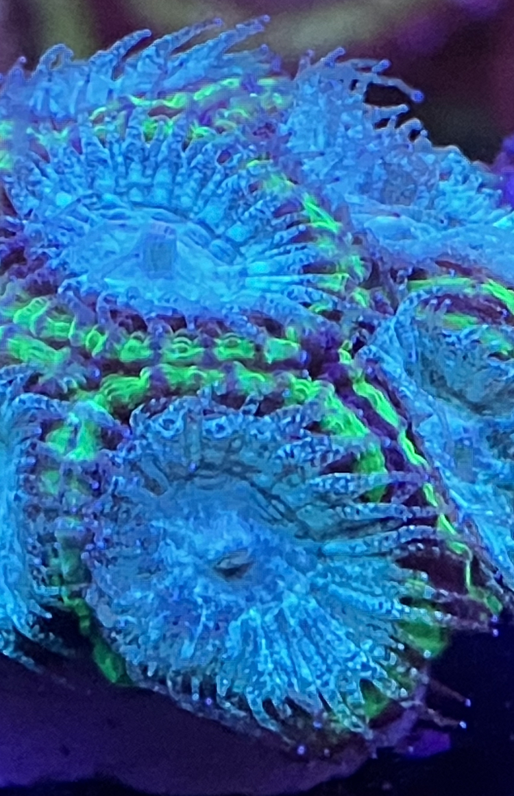 0EF38AB0-B937-448E-B7E9-6A7DCD3DCDF3.jpeg
