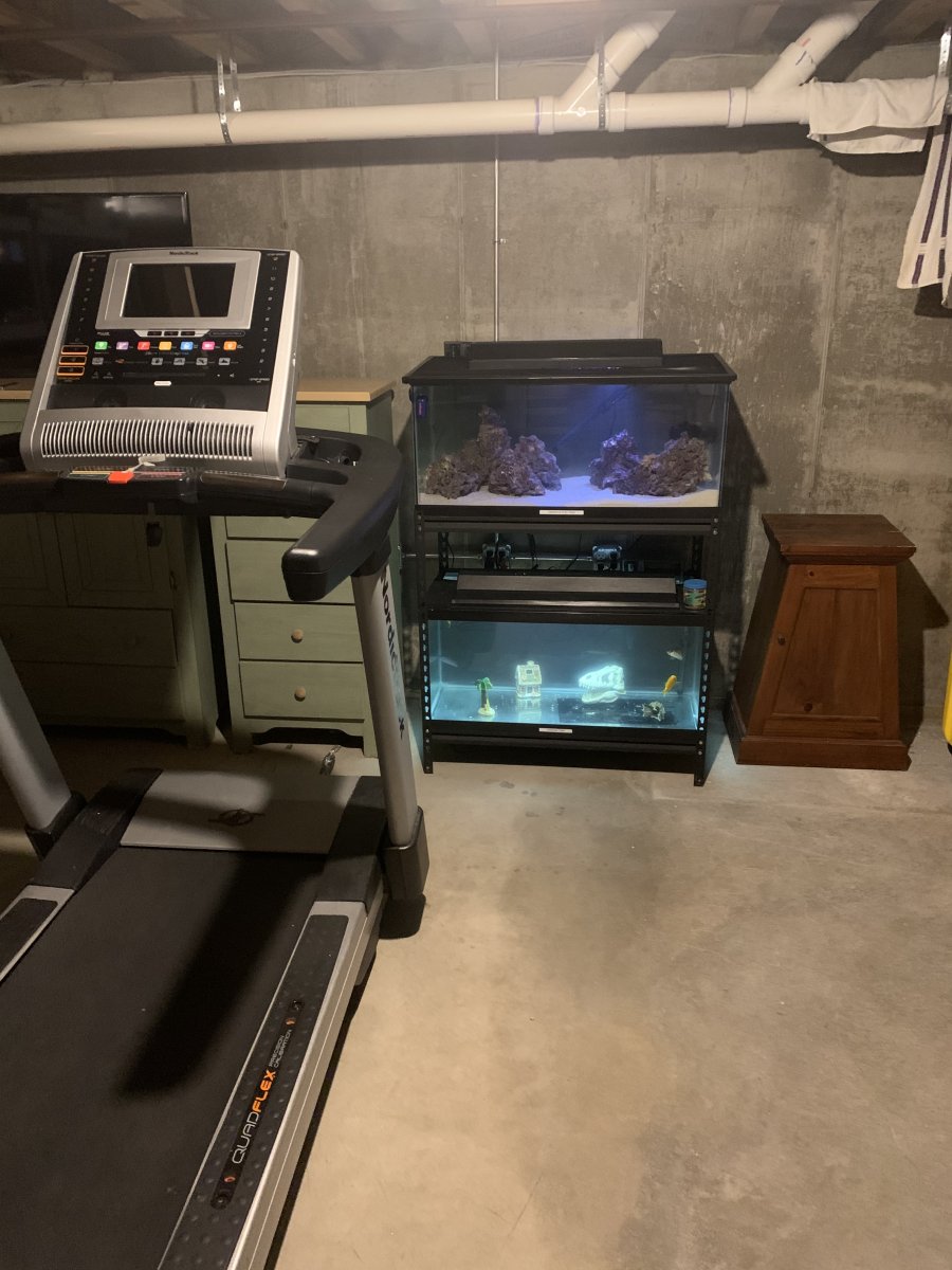 External sump setup sufficient? | Reef2Reef